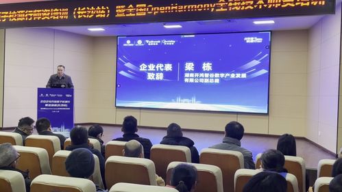 開鴻智谷攜手開源基金會成功舉辦校源行師資培訓(xùn) 推動計算機(jī)技術(shù)教育發(fā)展